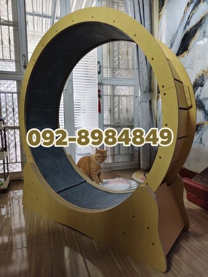 คอนโดแมวและที่ลับเล็บ ส่งต่อ ลู่วิ่งเเมว ขาย 1150.- ประกอบเเล้ว พร้อมย้ายยกไปตั้ง นัดรับ ลาดสวาย ลำลูกกาคลองสี่
