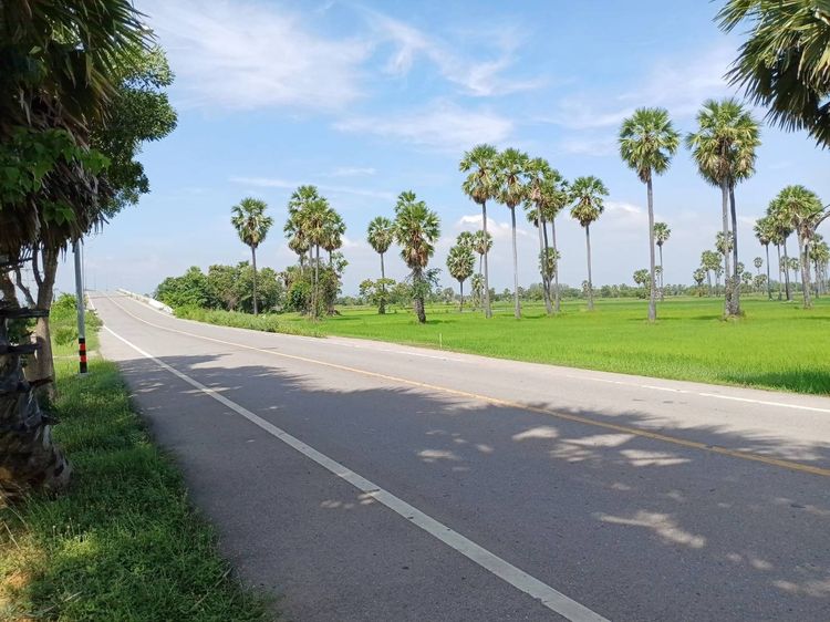 ขายที่ดินชะอำ 2 ไร่ 3 งาน 54 ตร.ว. เจ้าของขายเอง