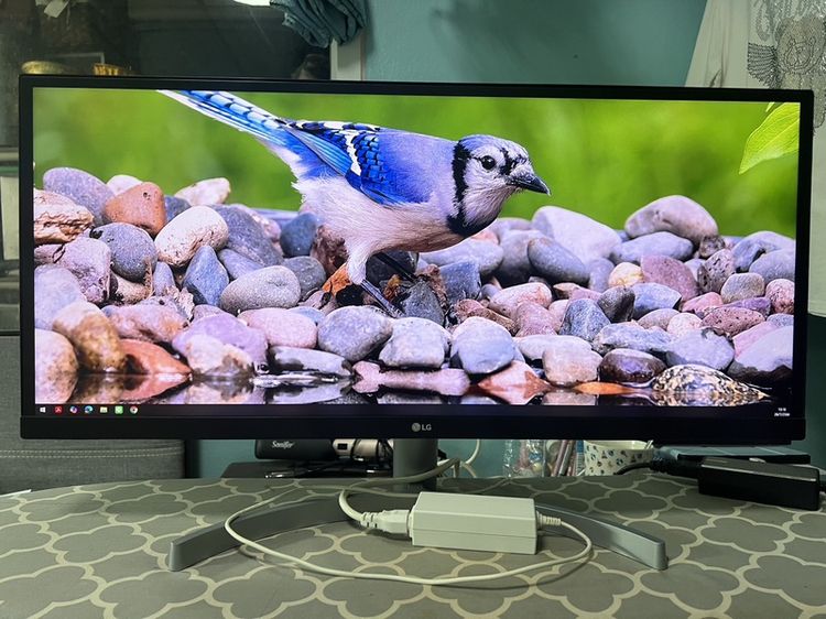 🖥️ ขาย LG UltraWide Monitor 29 นิ้ว รุ่น 29WK600-W รูปที่ 3