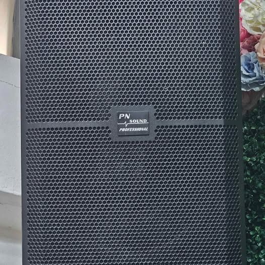 ชุดเครื่องเสียง PROPLUS TM8 Power Mixer + ลําโพง 15 นิ้ว PN Sound Professional 2 ใบ พร้อมใช้งาน รูปที่ 9