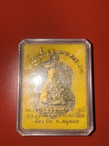 (หลวงพ่อรวย ปาสาทิโก) วัดตะโก จังหวัดพระนครศรีอยุธยา พ.ศ. 2559 รูปที่ 3