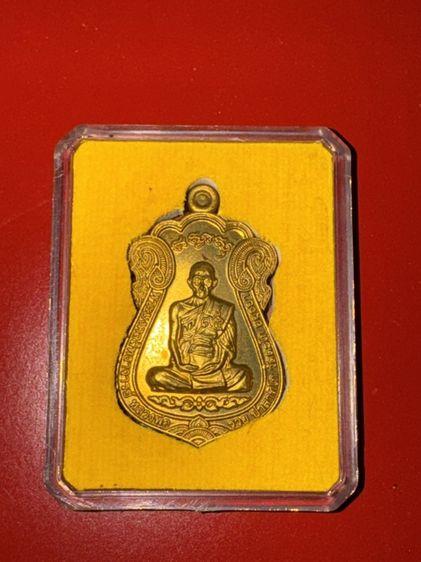 (หลวงพ่อรวย ปาสาทิโก) วัดตะโก จังหวัดพระนครศรีอยุธยา พ.ศ. 2559
