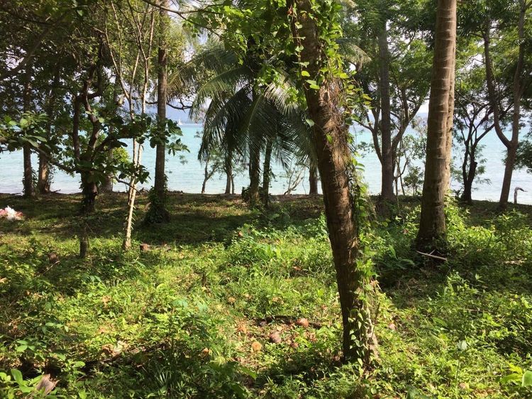 Vacant land for sale 35 Rai - prime location beachfront  Lon island, Phuket  รูปที่ 3