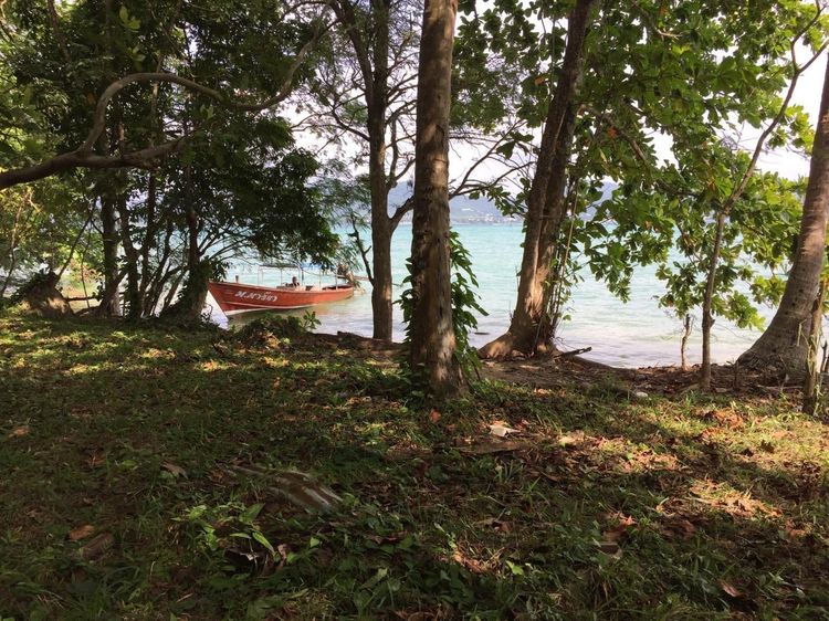 Vacant land for sale 35 Rai - prime location beachfront  Lon island, Phuket  รูปที่ 2