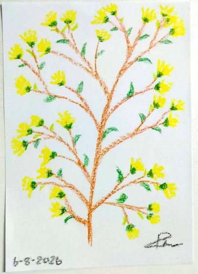 ภาพวาดสีเทียน Crayon drawing