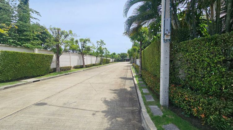 SC ASSET ตกแต่งครบ ปล่อยเช่า บ้านบางกอก ใกล้ DBS ราชพฤกษ์ รูปที่ 2