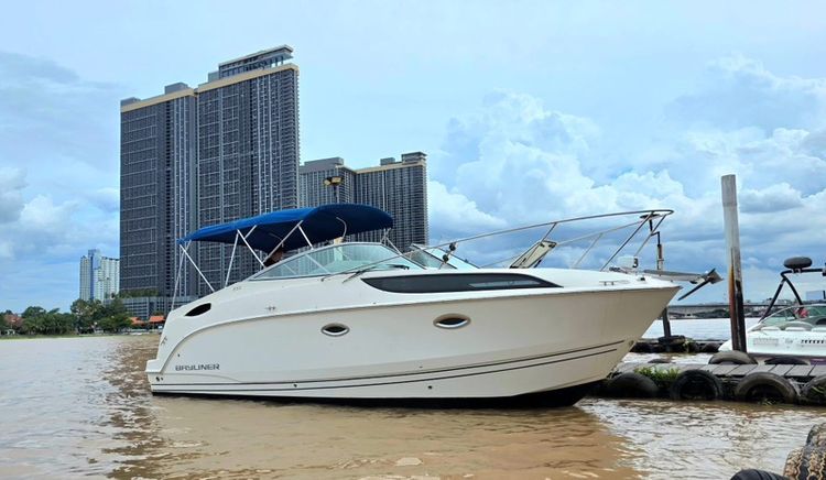 Bayliner 255 รูปที่ 3