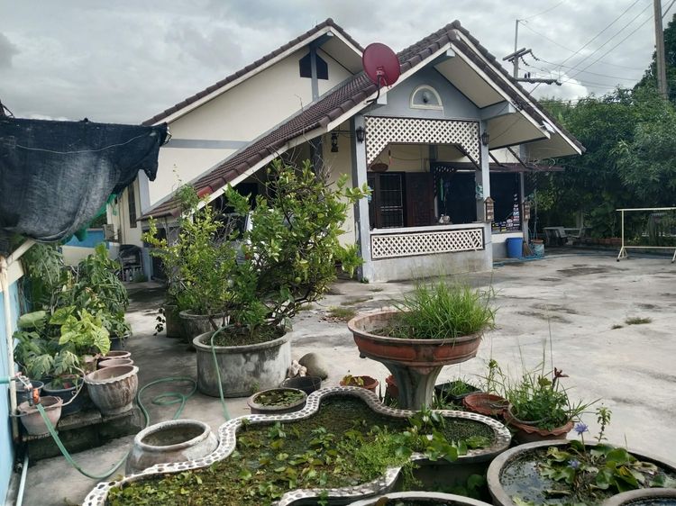 ขายบ้านเดี่ยวในเมือง พร้อมที่ดิน 111 ตรว พร้อมคุณภาพชีวิตที่ดีมากๆ 