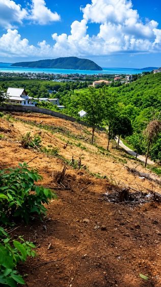 ใช่ Sea View Land for Sale | Near Rawai, Phuket