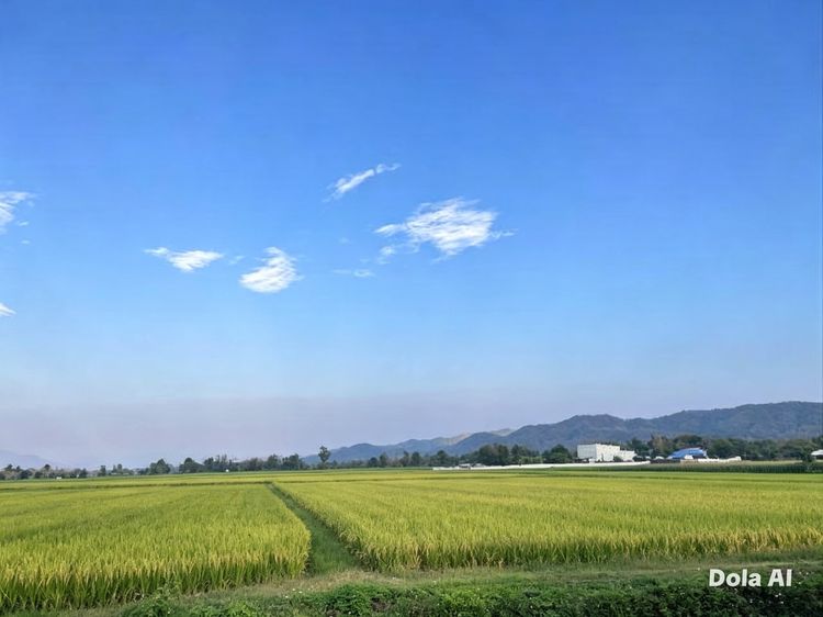 ขายที่ดินแปลงสวยพร้อมโอน ติดถนนลาดยาง เชียงราย พื้นที่โล่งกว้าง วิวสวยบรรยากาศดี รูปที่ 3