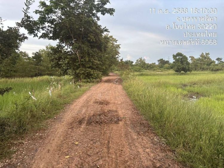 ไม่ใช่ 📍ขายที่นา 19 ไร่ ต.สำโรง อ.โนนไทย จ.นครราชสีมา🌾 เนื้อที่ 19 ไร่ 24.9 ตารางวา🏞 ราคาไร่ละ 100,000 บาท🚗 ห่างถนนลาดยางประมาณ 5 กม.🛣️ ห่างถนนคอนกรีตเพียง 500 เมต รูปที่ 4