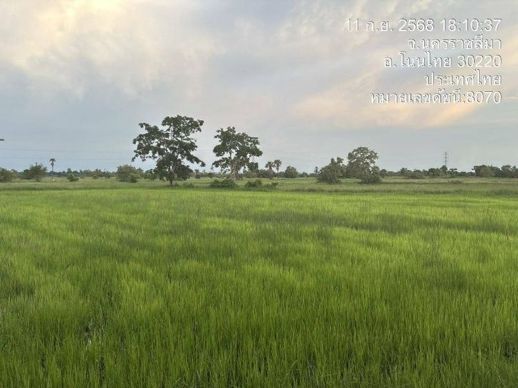 ไม่ใช่ 📍ขายที่นา 19 ไร่ ต.สำโรง อ.โนนไทย จ.นครราชสีมา🌾 เนื้อที่ 19 ไร่ 24.9 ตารางวา🏞 ราคาไร่ละ 100,000 บาท🚗 ห่างถนนลาดยางประมาณ 5 กม.🛣️ ห่างถนนคอนกรีตเพียง 500 เมต