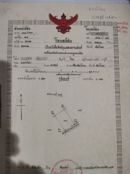ใช่ ที่ดินสวยเหมาะสำหรับปลูกบ้าน
