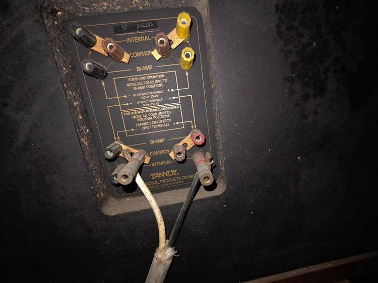Tannoy Buckingham รูปที่ 7