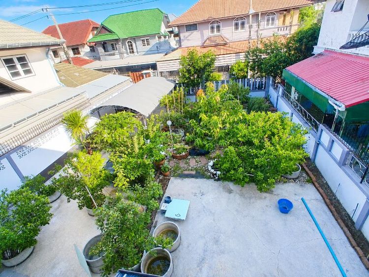 ใช่ ที่ดิน 50 ตรว. หมู่บ้านพนาสนธิ์ รูปที่ 2