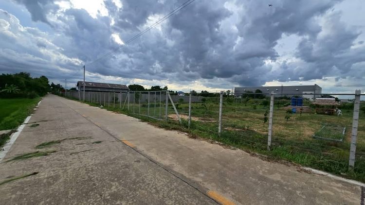 ขายด่วนที่ดิน 2 ไร่ ติดถนนคอนกรีต ถมแล้ว+ล้อมรั้วลวดหนาม ซอย คลองสี่ตะวันออก19 คลองหลวง ปทุมธานี รูปที่ 2