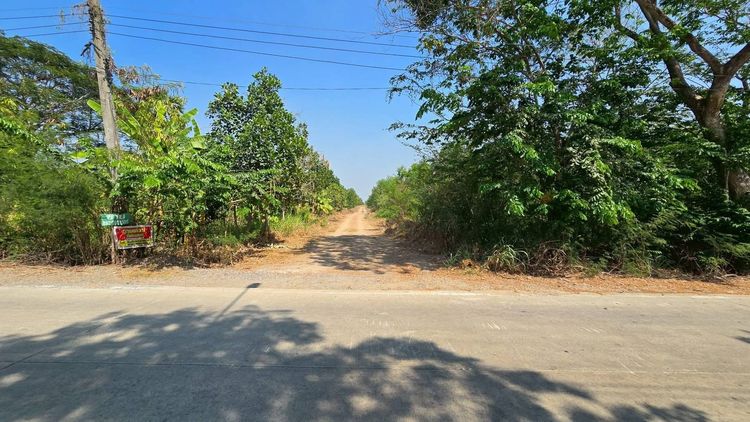 Vายที่ดิน 200 ตารางวา ติดถนนดิน เลียบคลองหก ต.คลองหลวง ปทุมธานี รูปที่ 4