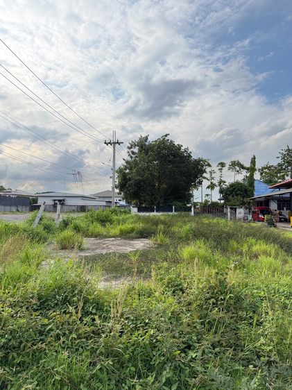 ให้เช่าที่ดินและบ้านเดี่ยว มีนบุรี-หนองจอก เริ่มต้น 400 ตร.ว. ติดถนนประชาร่วมใจ เลือกแบ่งเช่าได้ 3 แปลง รูปที่ 3
