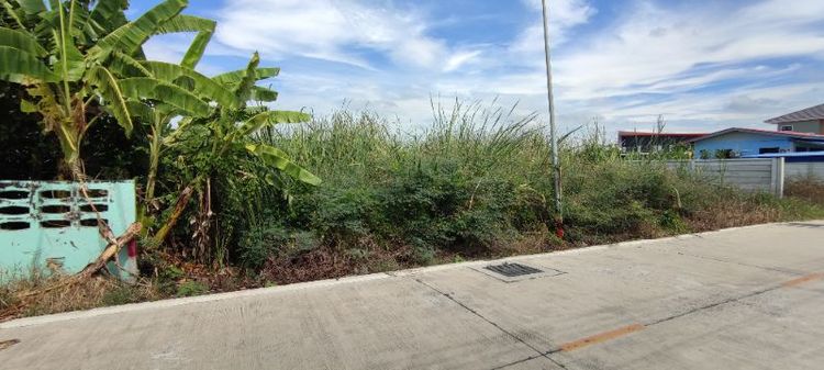 ขายที่ดินซอยบงกช 71 คลองสอง ปทุมธานี รูปที่ 2