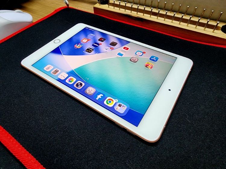 Apple 256 GB ipad mini 5 wifi cellular 256gb
