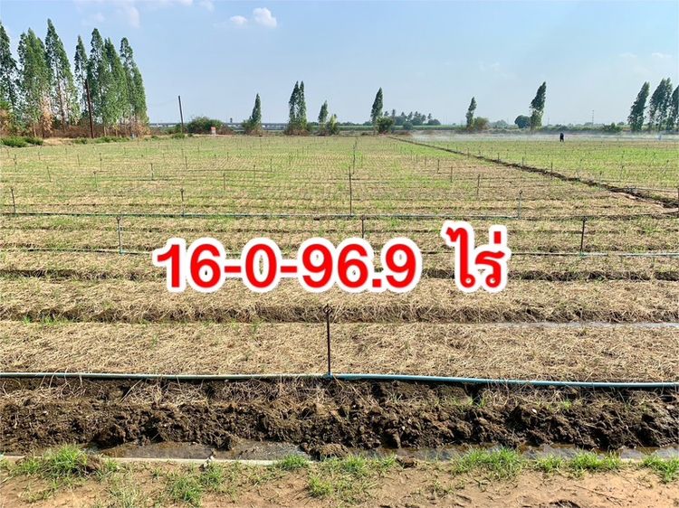 ที่ดินทำเลทองผืนใหญ่16ไร่ วังศาลา ท่าม่วง แปลงสวย ทำเลดี แหล่งชุมชน ใกล้ทางด่วนM81 จากกรุงเทพเพียง1ชม. คมนาคมสะดวก รูปที่ 2