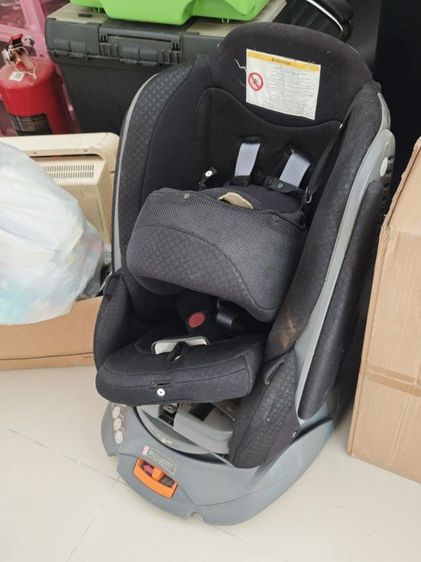 คารฟ์ซีท Bettino feel