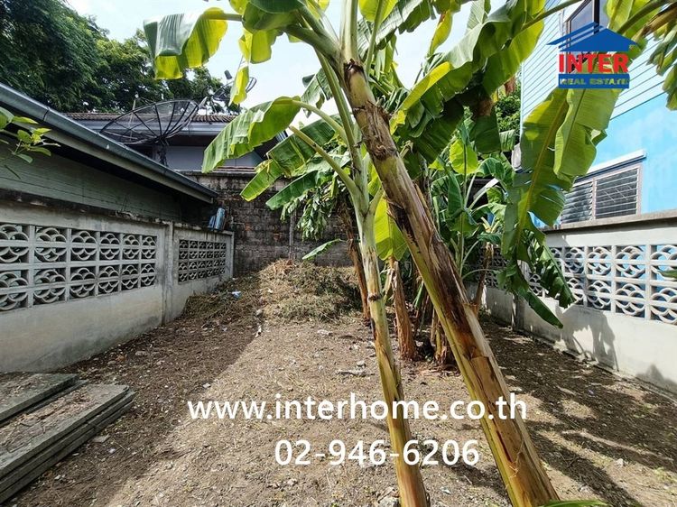 ที่ดินเปล่า 31.3 ตร.ว. ที่ดิน ใกล้ตลาดถนมมิตร ซอยวัชรพล1-1 ถนนวัชรพล ถนนรามอินทรา เขตบางเขน กรุงเทพมหานคร รูปที่ 4