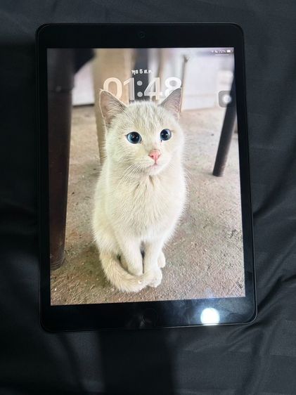 Ipad gen9 256 wifi รูปที่ 4