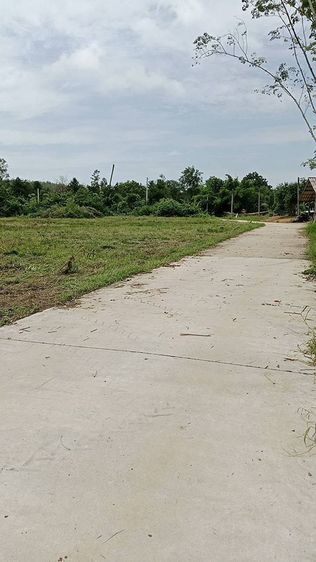 ใช่ 🌿🏡 ที่ดินสวย ทำเลดี โซนวัดศรีวโนภาส ระยอง 🏡🌿 รูปที่ 2