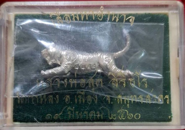 เสือหลวงพ่อสุด รูปที่ 5