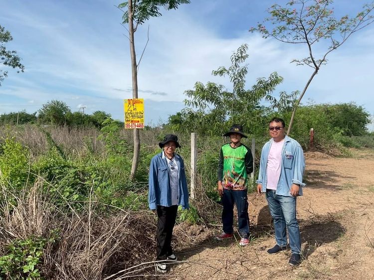 ขายด่วนที่ดินติดคลังBig c 2 ไร่ ติดถนนดิน ถมแล้ว คลองหก ตอ.36 คลองหลวง ปทุมธานี