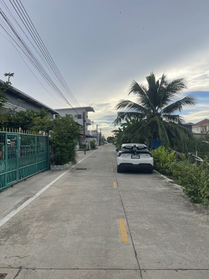 ใช่ ขายที่ดิน80ตรว.ซอยบงกช35 ติดถนนคอนกรีต น้ำ ไฟพร้อม รูปที่ 4