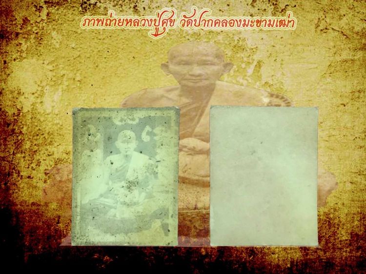 รูปถ่ายหลวงปู่ศุขวัดปากคลองมะขามเฒ่า