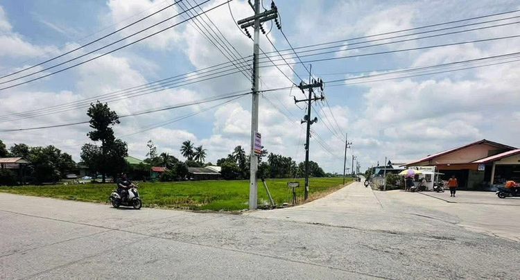 ที่ดินหน้ากว้างติดถนน2ด้าน ติดปั้มน้ำมัน ติดริมคลอง1ด้าน ต.ศาลาแดง รูปที่ 2