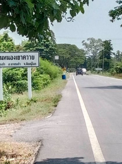 ที่ดินเปล่า พิษณุโลก รูปที่ 2