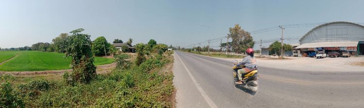 ที่ดินเปล่า พิษณุโลก รูปที่ 3