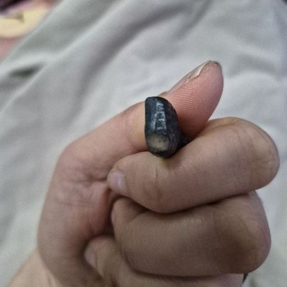 หลวงปู่ทวด หลังลายกาบหมาก หลวงพ่อทาบ วัดกระบกขึ้นผึ้ง จ.ระยอง ปี 2505 รูปที่ 3