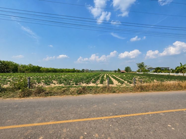 ใช่ ที่ดินในเมืองอุดรธานี 18 ไร่ รูปที่ 2