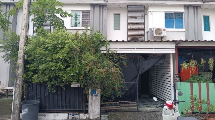 ขาย ทาวน์เฮ้าส์ 3 ห้องนอน ในโครงการ บ้านพฤกษา 92 (รังสิต – ลำลูกกา)