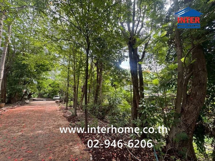 ที่ดิน+สิ่งปลูกสร้าง 20 ไร่ 154.8 ตร.ว. ที่ดิน+สิ่งปลูกสร้าง ใกล้ทิศากรล้อแม็กยางมือสอง ถนนราชบุรี-โพธาราม โพธาราม ราชบุรี รูปที่ 2