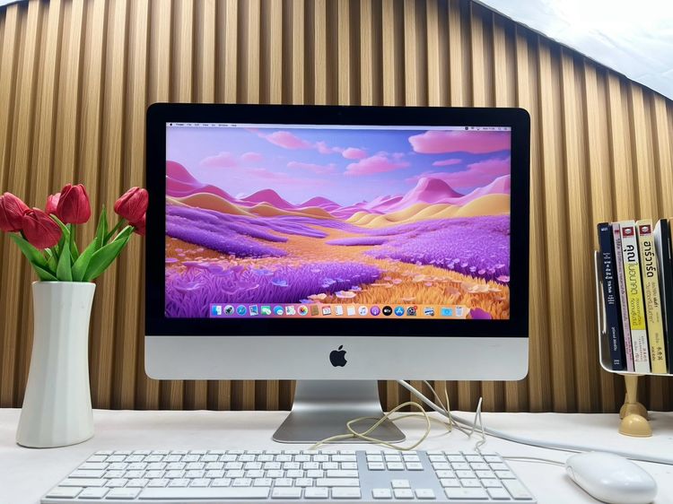 iMac 21.5-inch Late2012 Ram8GB HDD1TB Silver • 64182