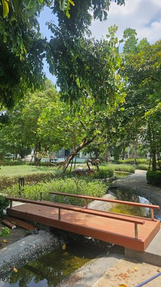AP (Thailand) ตกแต่งครบ ส่งต่อความรวย บ้านเลขที่ดี ฮวงจุ้ยดี อยู่แล้วรวยขายเพราะต้องการขยายครอบครัว รูปที่ 3