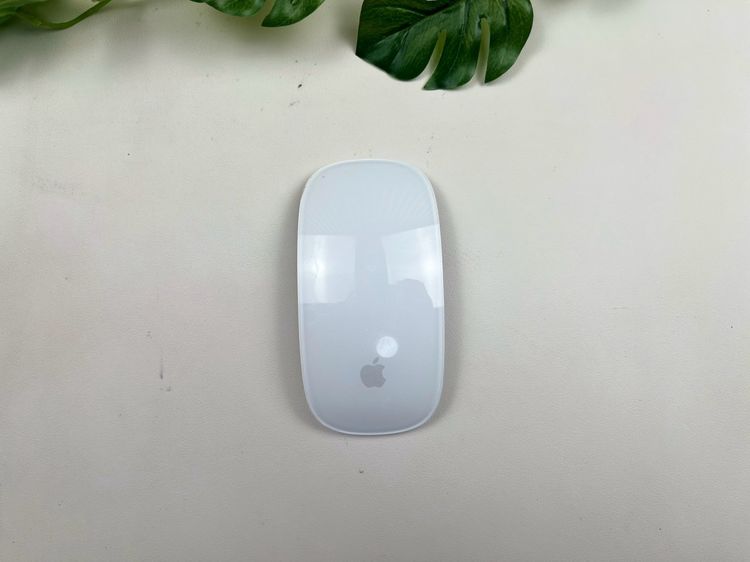 Apple Magic Mouse2 (Lightning) 