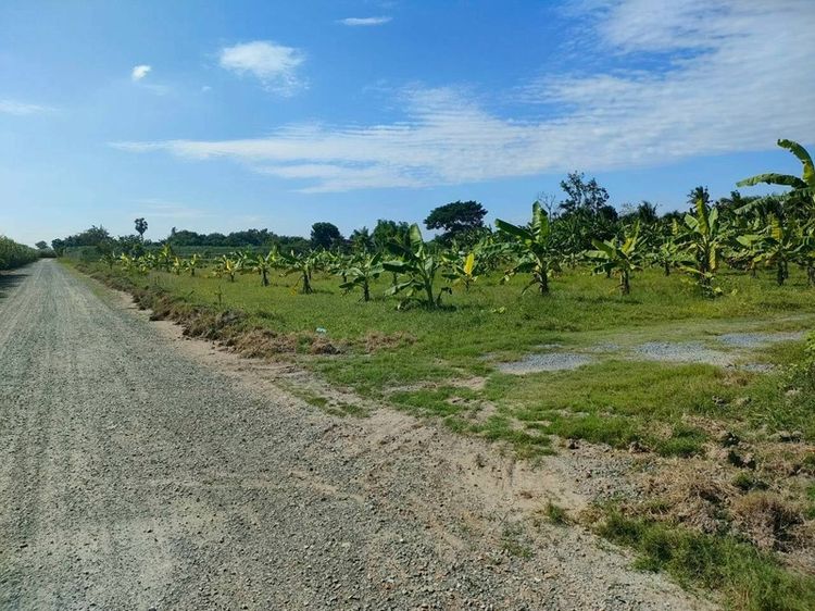 ขายที่ดินพร้มบ้านกับสวน