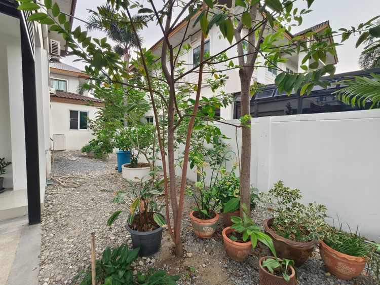 อื่นๆ มีบางส่วน ขายบ้านเดี่ยวโครงการ Vista Ville B ลำลูกกาคลอง 3  รูปที่ 3