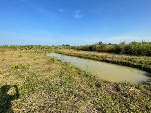 ขายที่ดิน 4 ไร่ ชะอำ เพชรบุรี ไร่ใหม่พัฒนา