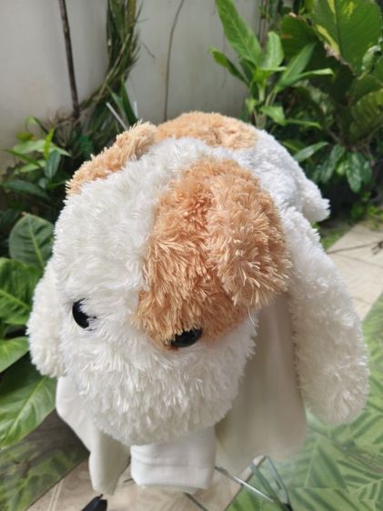 ตุ๊กตาสุนัขหมอบ AMUFUN Lupin แท้ญี่ปุ่น ขนฟูนุ่มยาว ตัวใหญ่ 70 ซม. | AOMY select