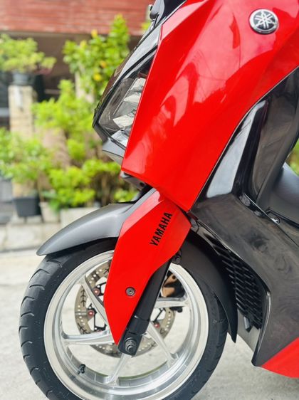 ปี2024 รูปที่ 13
