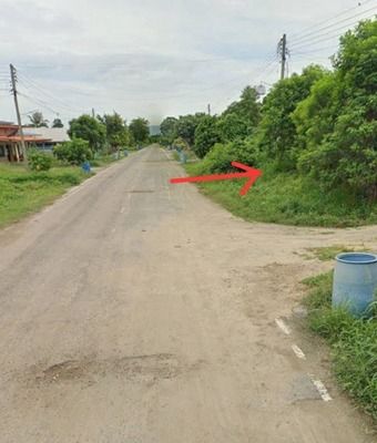 ขายที่ดิน 250ตร.ว. ปากช่อง โคราช นครราชสีมา