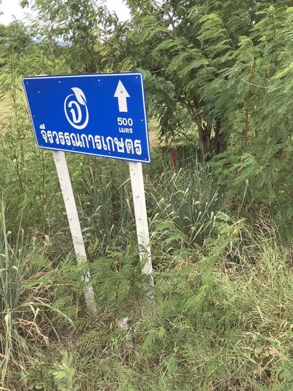 ขายที่ดินแปลงสวย ทำเลดี ติดถนนใหญ่ ตรงข้ามกับบริษัท ฟู่เซิง จำกัด อำเภอดอยหล่อ-จอมทองจังหวัเชียงใหม่ รูปที่ 3
